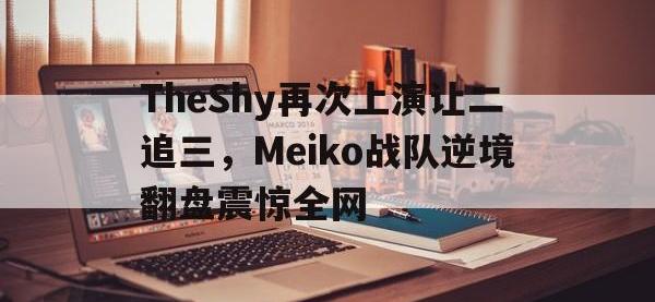 IM电竞游戏综合-TheShy再次上演让二追三，Meiko战队逆境翻盘震惊全网
