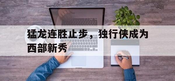 IM电竞游戏综合-猛龙连胜止步，独行侠成为西部新秀