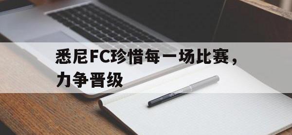IM电竞游戏综合-悉尼FC珍惜每一场比赛，力争晋级