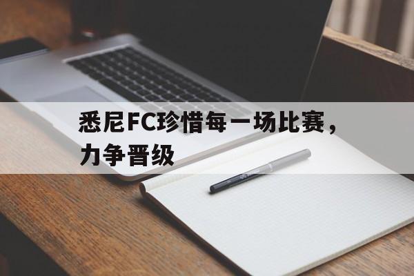 悉尼FC珍惜每一场比赛，力争晋级